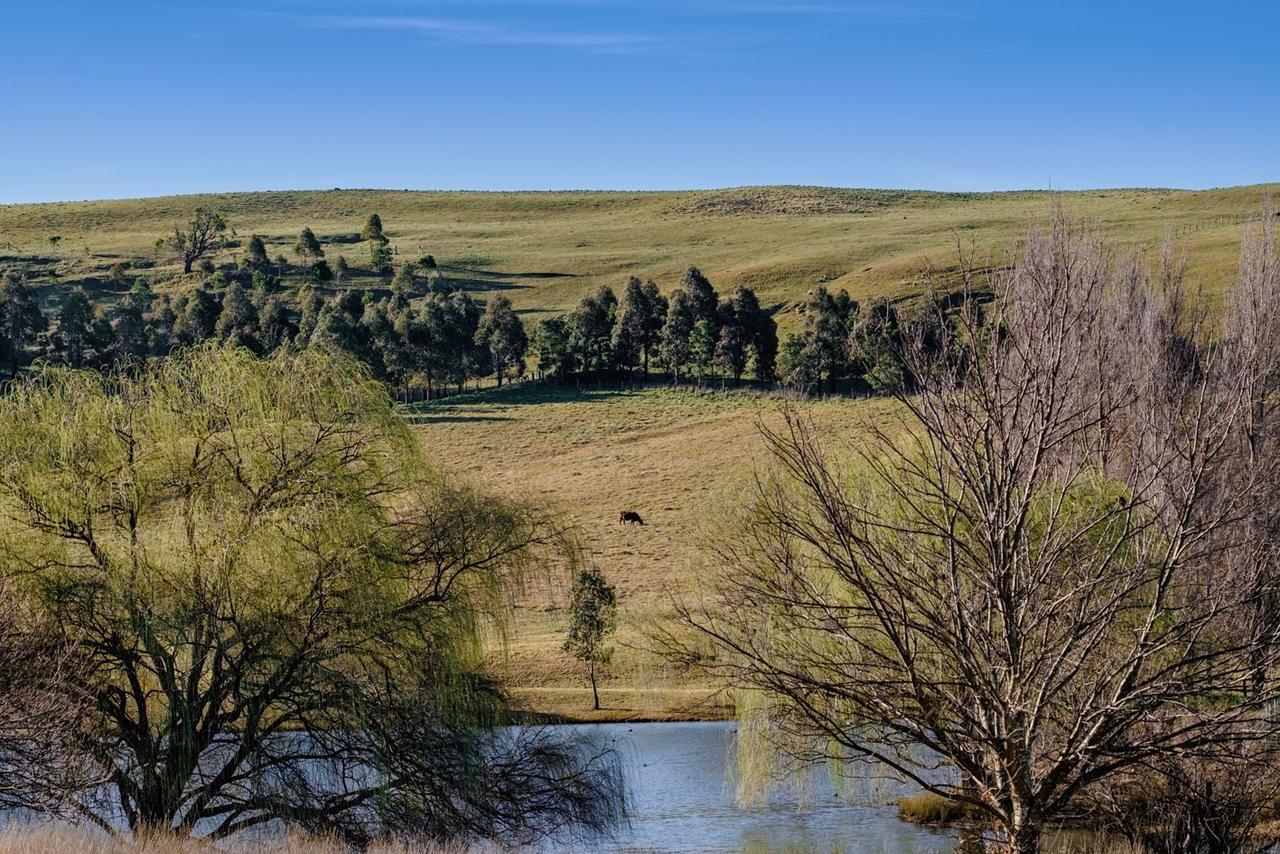 Bendooley Estate Hotell Berrima Exteriör bild